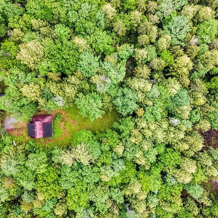 Schroon Lake Lost Pond Cabin מראה חיצוני תמונה